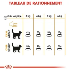 Royal Canin Hair&Skin Care 2kg -Zooart Elegant Boutique fre pl Royal Canin Hair Skin Care 2kg 16021 5
