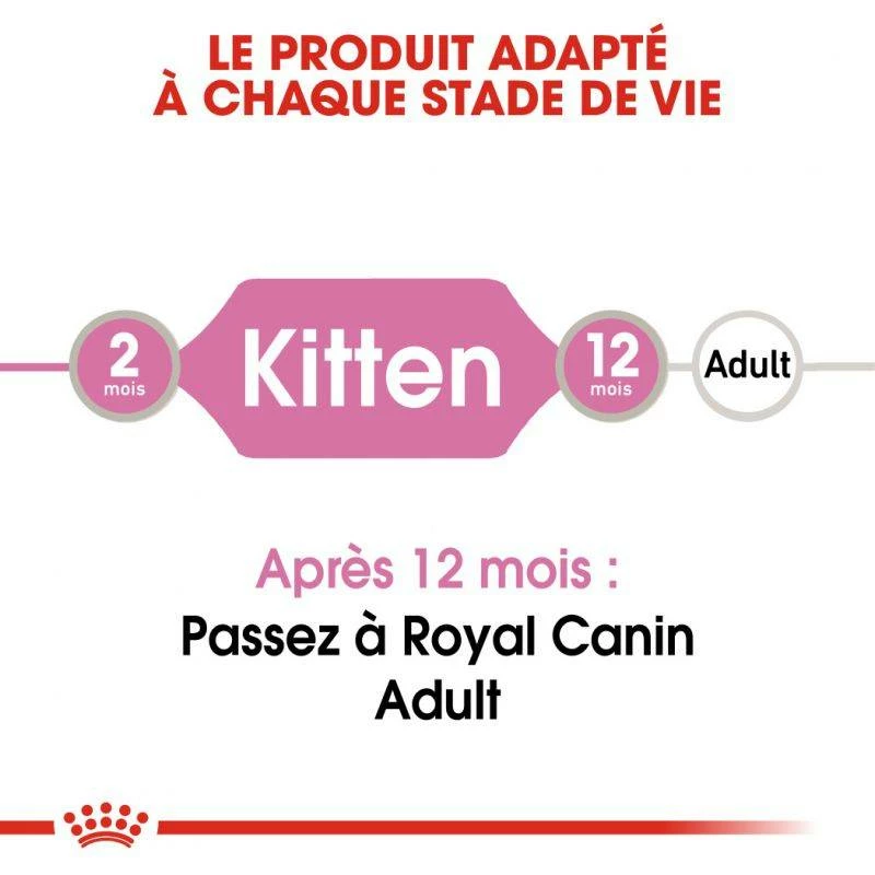 Royal Canin Kitten Instinctive En Gelée 12x85g 4 Royal Canin Kitten Instinctive En Gelée 12x85g – Image 4