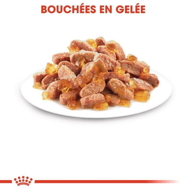 Royal Canin Kitten Instinctive En Gelée 12x85g 3 Royal Canin Kitten Instinctive En Gelée 12x85g – Image 3