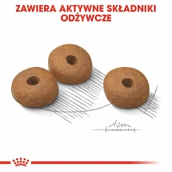 Royal Canin Mini Light Weight Care 8kg + Surprise Pour Votre Chien GRATUITES ! -Zooart Elegant Boutique fre pl Royal Canin Mini Light Weight Care 8kg surprise pour votre chien GRATUITES 17870 6