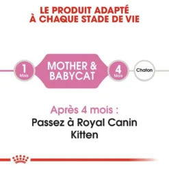 Royal Canin Mother&Babycat 2kg -Zooart Elegant Boutique fre pl Royal Canin Mother Babycat 2kg 9113 8