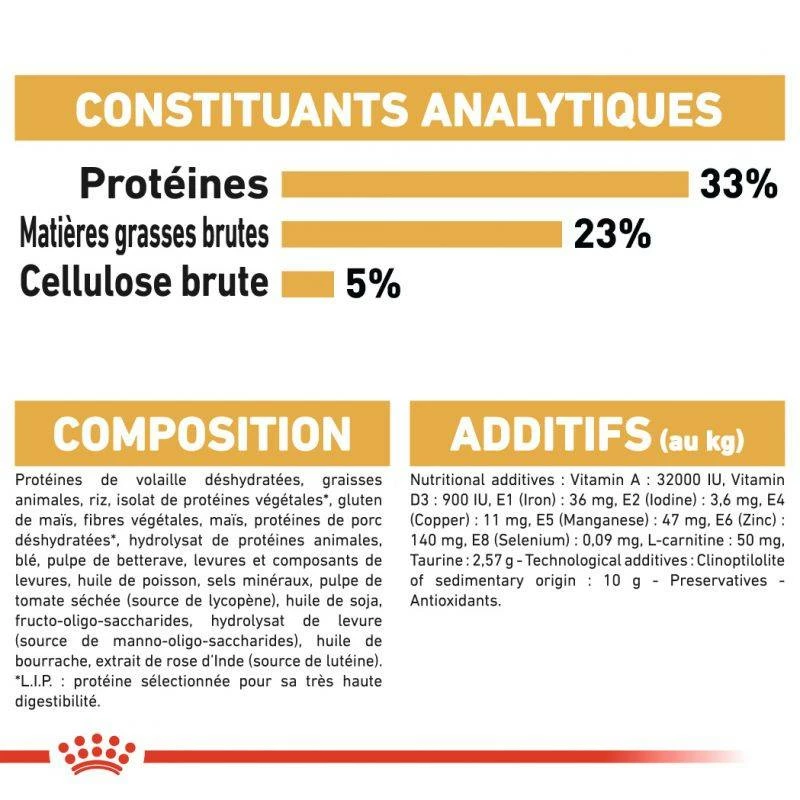 Royal Canin Sphynx Adult 10kg 6 Royal Canin Sphynx Adult 10kg – Image 6