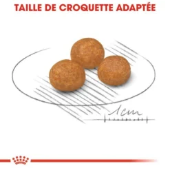 Royal Canin X-Sm Small Adulte 1,5kg -Zooart Elegant Boutique fre pl Royal Canin X Sm Small Adulte 1 5kg 11032 3