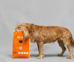 TOMOJO CROQUETTES CHIEN ADULTE 2kg -Zooart Elegant Boutique fre pl TOMOJO CROQUETTES CHIEN ADULTE 2kg 12302 3