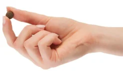 TOMOJO CROQUETTES CHIEN ADULTE 2kg -Zooart Elegant Boutique fre pl TOMOJO CROQUETTES CHIEN ADULTE 2kg 12302 4