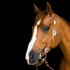 TickLess Cheval Sans Tique - Marron -Zooart Elegant Boutique fre pl TickLess Cheval sans tique marron 26621 3