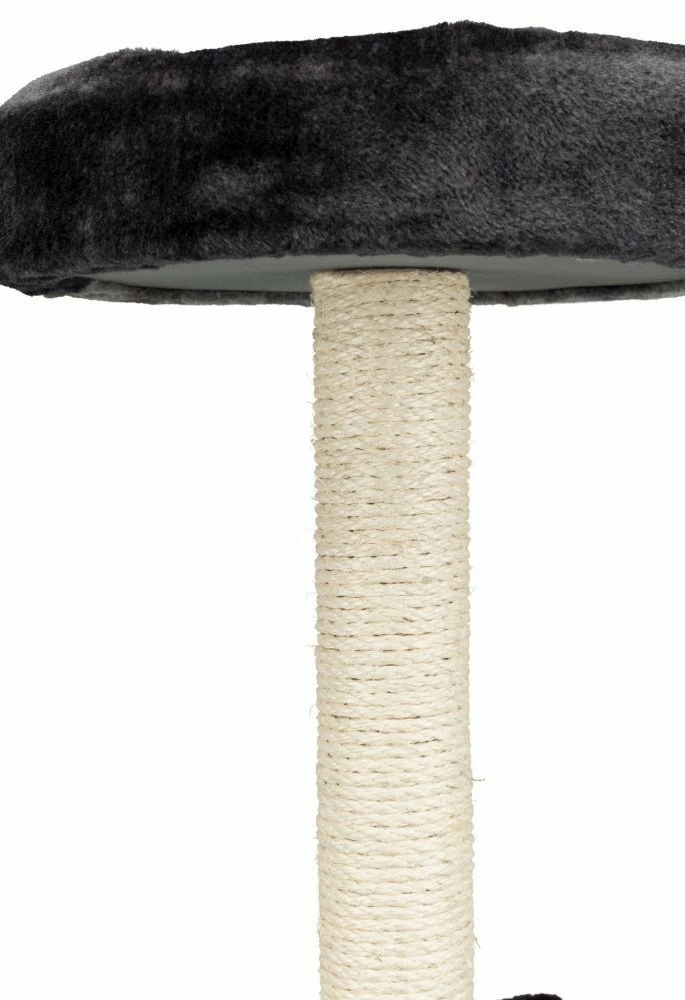 Trixie Junior Tarifa Grattoir Sur Pied 52cm 3 Trixie Junior Tarifa Grattoir Sur Pied 52cm – Image 3