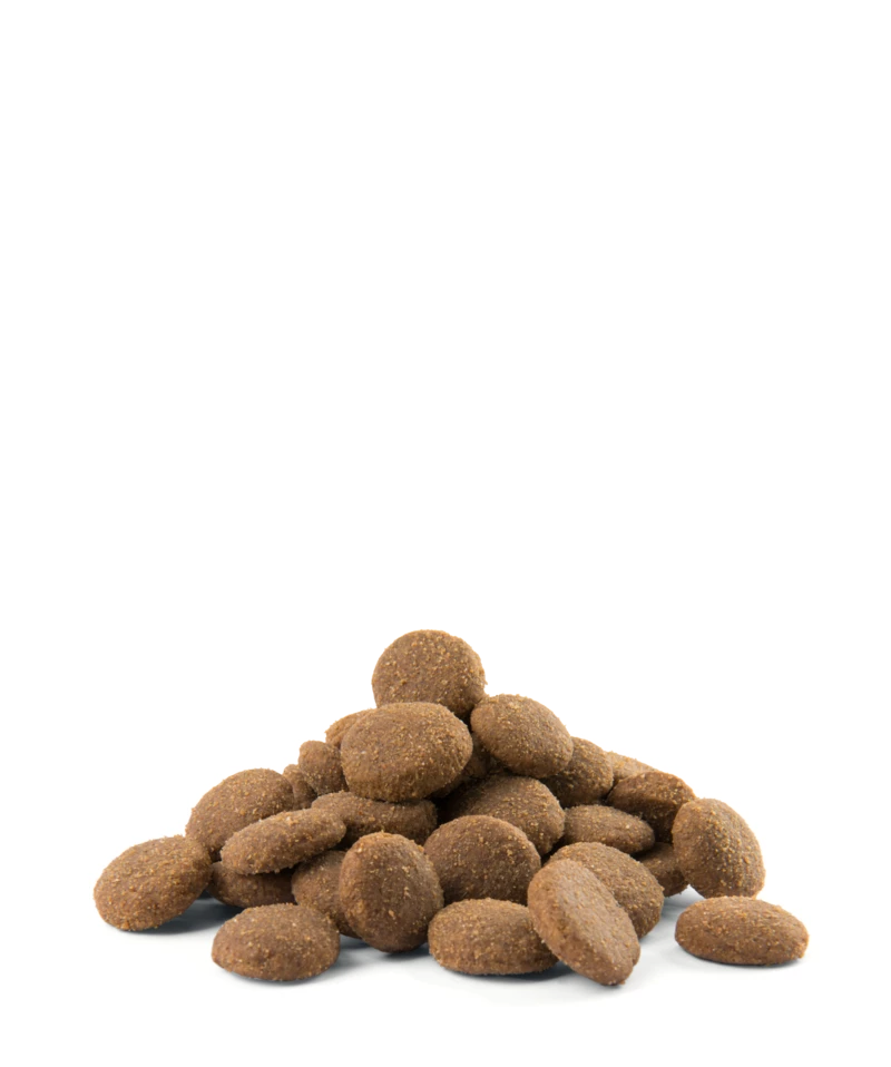 VERSELE-LAGA Opti Life Adult Maxi 12,5kg Au Poulet Pour Grandes Races 3 VERSELE-LAGA Opti Life Adult Maxi 12,5kg Au Poulet Pour Grandes Races – Image 3