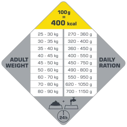 VERSELE-LAGA Opti Life Adult Maxi 12,5kg Au Poulet Pour Grandes Races 4 VERSELE-LAGA Opti Life Adult Maxi 12,5kg Au Poulet Pour Grandes Races – Image 4