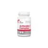 VETEXPERT Arthrovet HA Complex 60 Comprimés