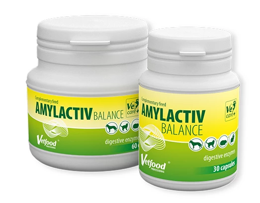VETFOOD Amylactiv Balance 60 Comprimés 1 VETFOOD Amylactiv Balance 60 Comprimés