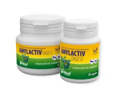 VETFOOD Amylactiv Digest 30tabs