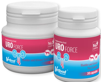 VETFOOD UROforce 60 Capsules 1 VETFOOD UROforce 60 Capsules