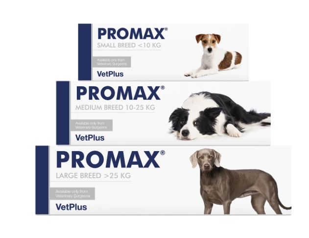 VETPLUS Promax Probiotique Pour Petites Races 9ml 2 VETPLUS Promax Probiotique Pour Petites Races 9ml – Image 2