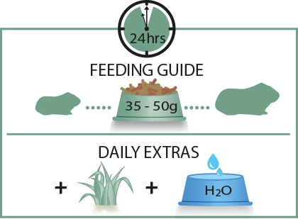 Versele-Laga Cavia Complete - Cochons D'Inde 1,75kg 2 Versele-Laga Cavia Complete - Cochons D'Inde 1,75kg – Image 2