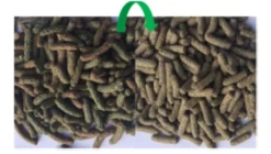 Versele-Laga Cuni Adult Complete 8kg -Zooart Elegant Boutique fre pl Versele Laga Cuni Adult Complete 8kg 9174 3