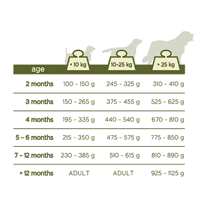 Versele-Laga Happy Life Junior Poulet 10kg 2 Versele-Laga Happy Life Junior Poulet 10kg – Image 2