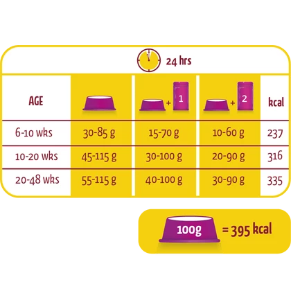 Versele-Laga Lara Junior Au Poulet 2kg 3 Versele-Laga Lara Junior Au Poulet 2kg – Image 3