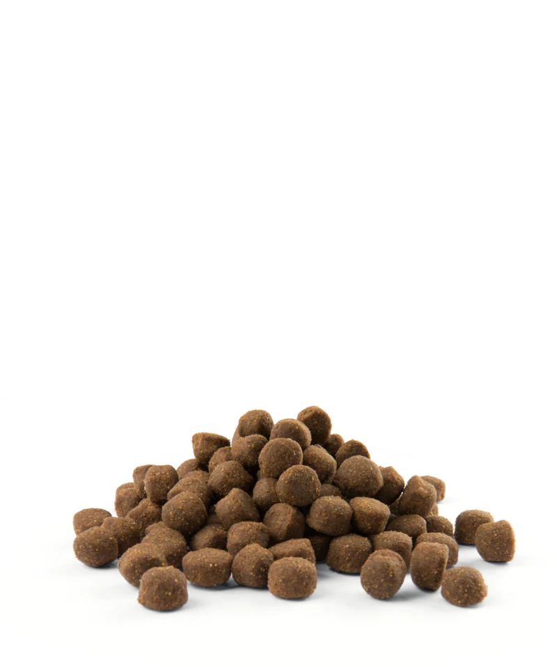 Versele-Laga Opti Life Adult Active Au Poulet 12,5 Kg 2 Versele-Laga Opti Life Adult Active Au Poulet 12,5 Kg – Image 2