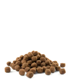 Versele-Laga Opti Life Adult Medium Au Poulet Et Au Riz 12.5kg 5 Versele-Laga Opti Life Adult Medium Au Poulet Et Au Riz 12.5kg -Zooart Elegant Boutique fre pl Versele Laga Opti Life Adult Medium au poulet et au riz 12 5kg 17015 3