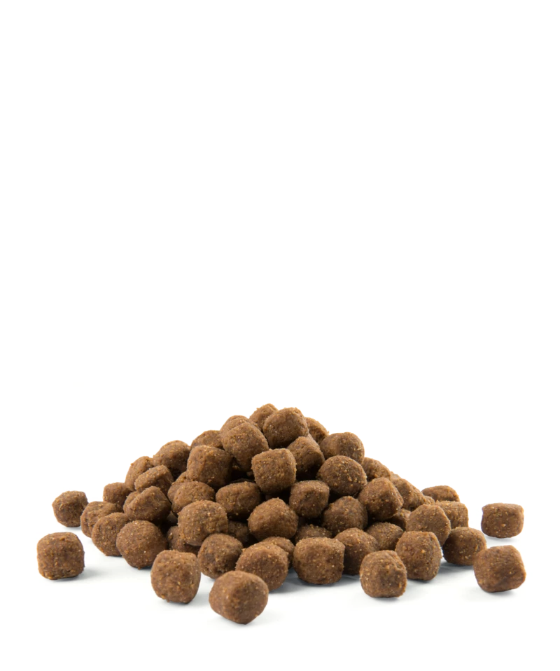 Versele-Laga Opti Life Adult Medium Au Poulet Et Au Riz 12.5kg 3 Versele-Laga Opti Life Adult Medium Au Poulet Et Au Riz 12.5kg – Image 3