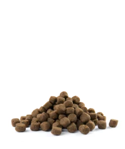 Versele-Laga Opti Life Adult Skin Care Medium&Maxi Au Saumon 12.5kg -Zooart Elegant Boutique fre pl Versele Laga Opti Life Adult Skin Care Medium Maxi au saumon 12 5kg 15489 3