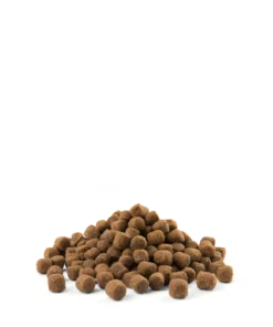 Versele-Laga Opti Life Adulte Light Mini Avec Poulet Et Riz 2.5kg -Zooart Elegant Boutique fre pl Versele Laga Opti Life Adulte Light Mini avec poulet et riz 2 5kg 17014 3