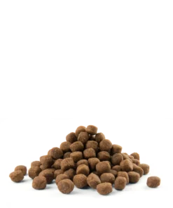 Versele-Laga Opti Life Puppy Maxi Au Poulet 12.5kg -Zooart Elegant Boutique fre pl Versele Laga Opti Life Puppy Maxi au poulet 12 5kg 15491 3