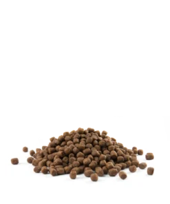 Versele-Laga Opti Life Puppy Mini Avec Poulet Pour Petites Races 2,5kg -Zooart Elegant Boutique fre pl Versele Laga Opti Life Puppy Mini avec poulet pour petites races 2 5kg 17019 3