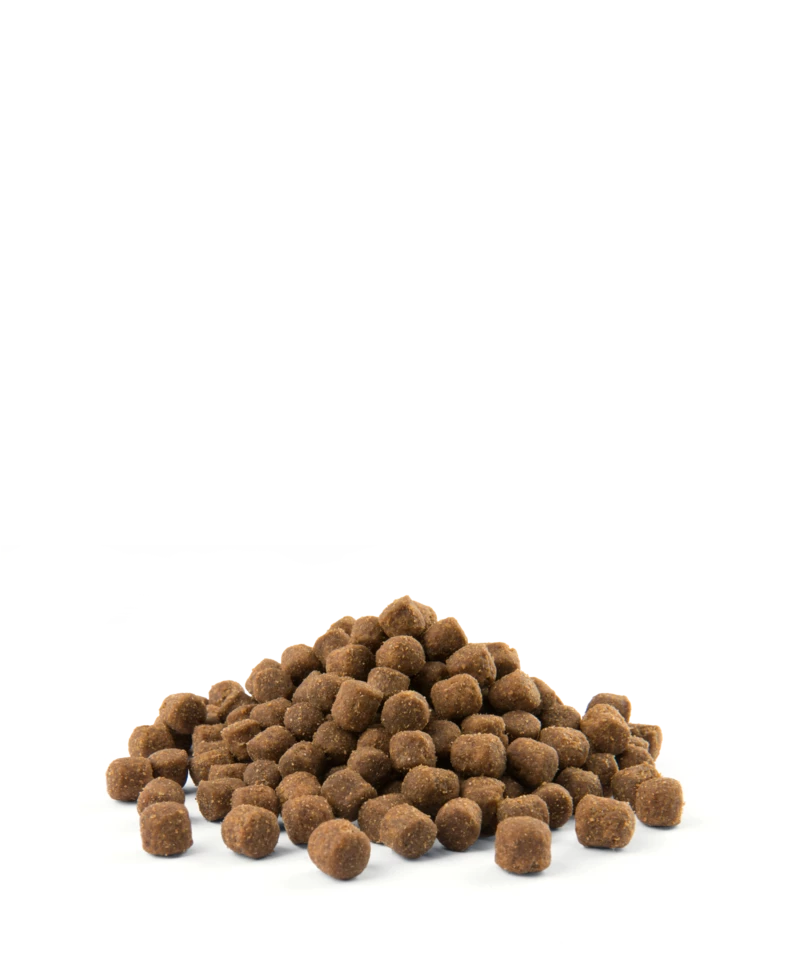 Versele-Laga Opti Life Senior Mini Poulet Avec Riz Pour Petites Races De Plus De 7 Ans 7.5kg 3 Versele-Laga Opti Life Senior Mini Poulet Avec Riz Pour Petites Races De Plus De 7 Ans 7.5kg – Image 3