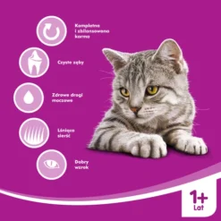 WHISKAS Adult - Croquettes Pour Chat Au Thon Et Aux Légumes 14kg+Surprise Gratuite Pour Chat 10 WHISKAS Adult - Croquettes Pour Chat Au Thon Et Aux Légumes 14kg+Surprise Gratuite Pour Chat -Zooart Elegant Boutique fre pl WHISKAS Adult croquettes pour chat au thon et aux legumes 14kg Surprise gratuite pour chat 27872 5
