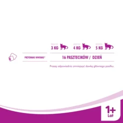 WHISKAS Dentabites Au Poulet - Une Friandise Dentaire Pour Les Chats 40g X 12 -Zooart Elegant Boutique fre pl WHISKAS Dentabites au poulet Une friandise dentaire pour les chats 40g x 12 30047 3